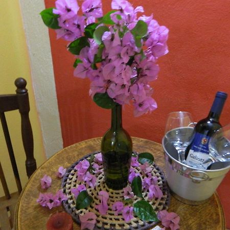 Bicho Do Mato Suites Guapimirim Exterior photo